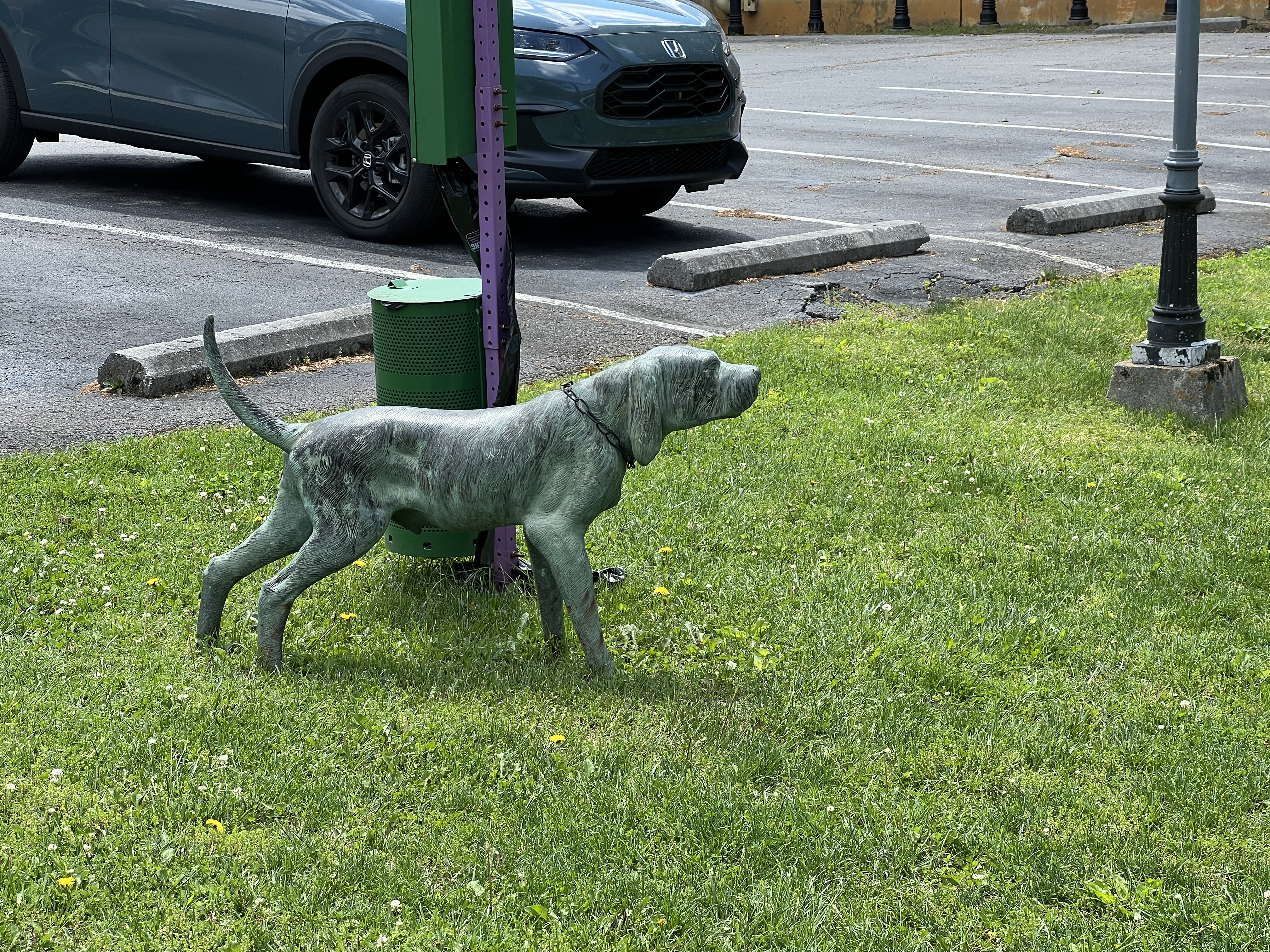 ./2025/04 - Virginia Creeper/IMG_5544.JPG